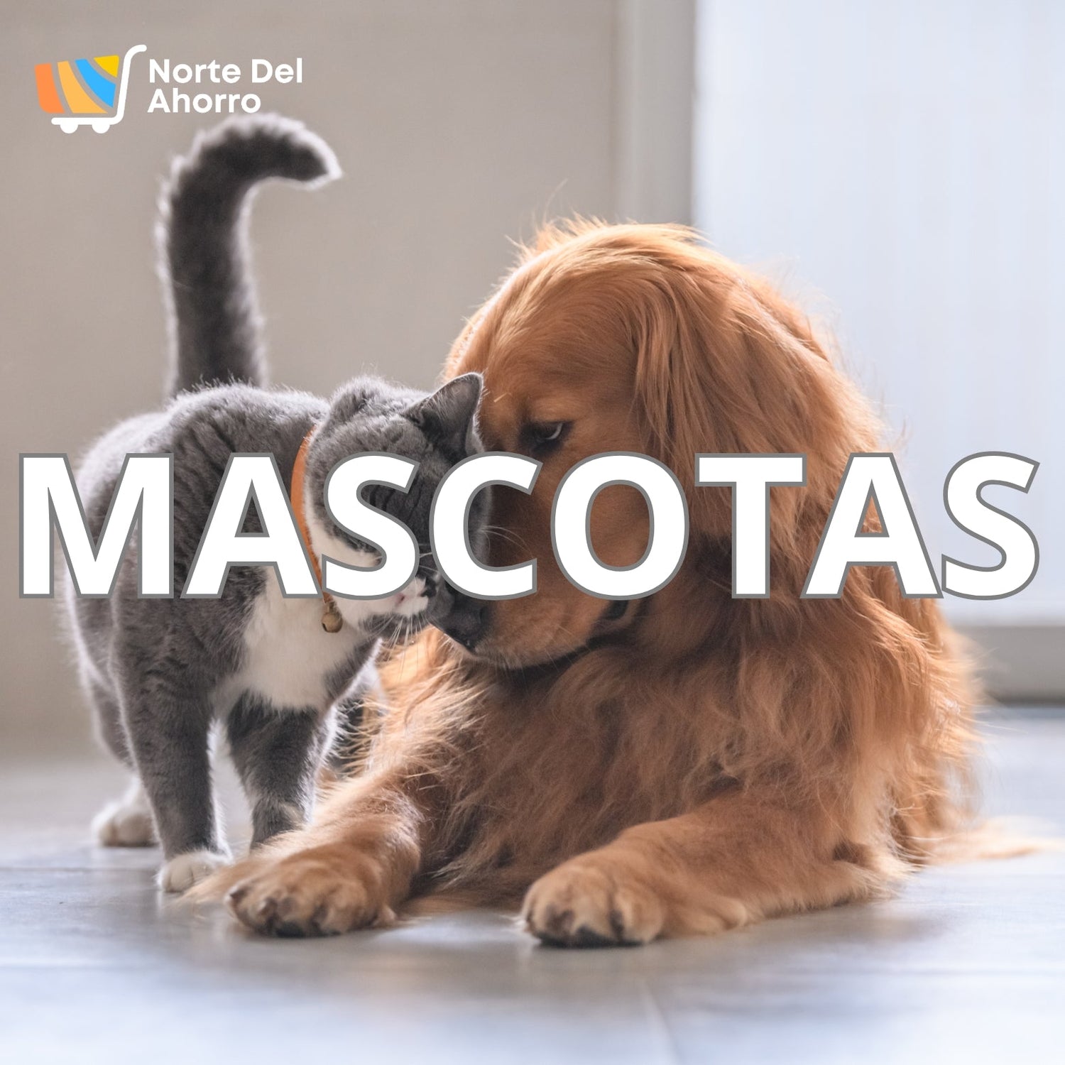 Mascotas